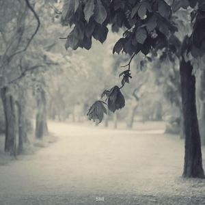 加勒比金国8天综合足球赛事分析
