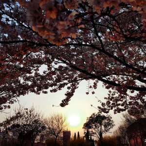 加勒比金国8天综合足球赛事分析
