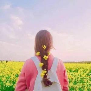 加勒比金国8天综合足球赛事分析
